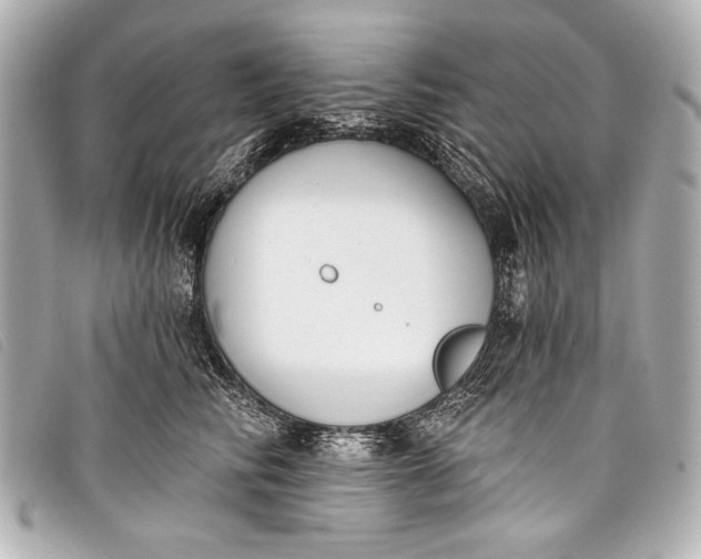 X0000098110710200804181452