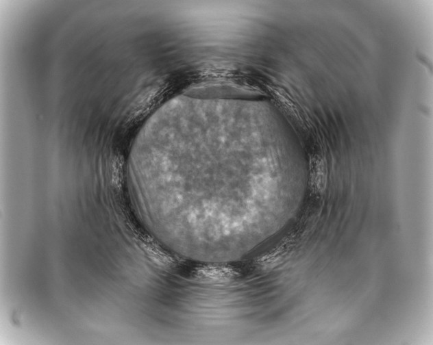 X0000098110712200804181452