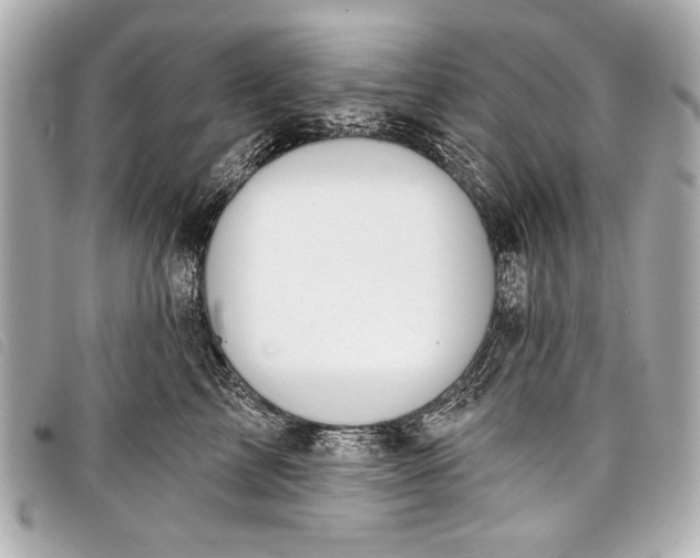 X0000098110713200804181452