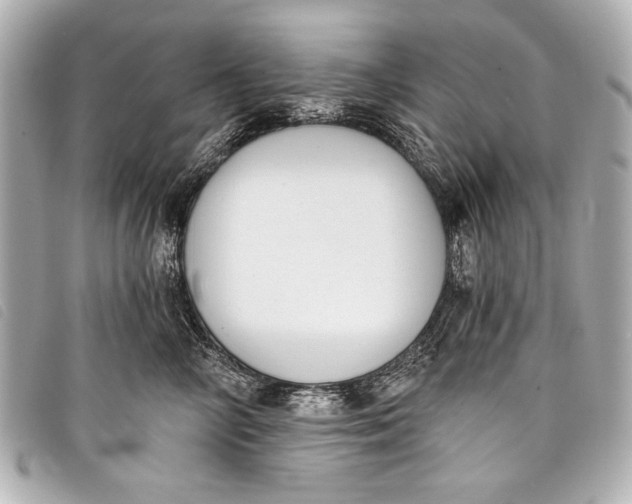 X0000098110714200804181452