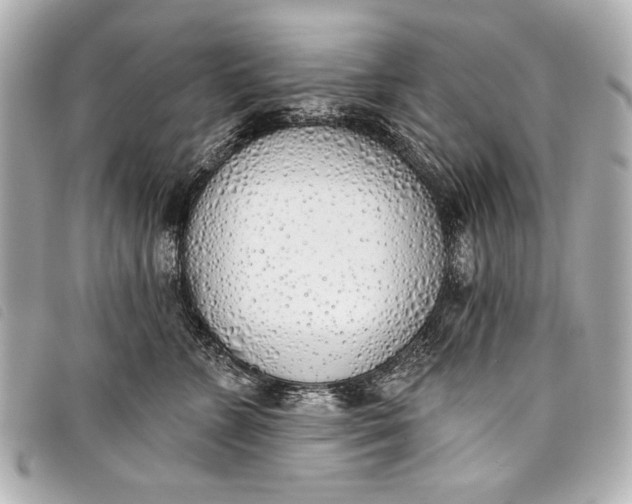 X0000098110715200804181452