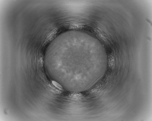 X0000098110716200804181451