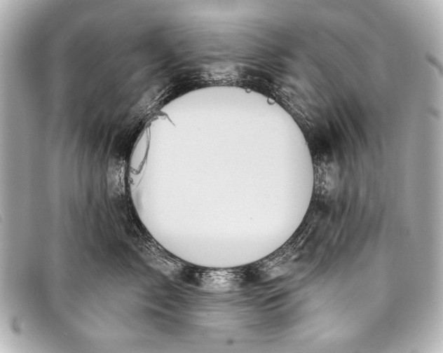 X0000098110717200804181451