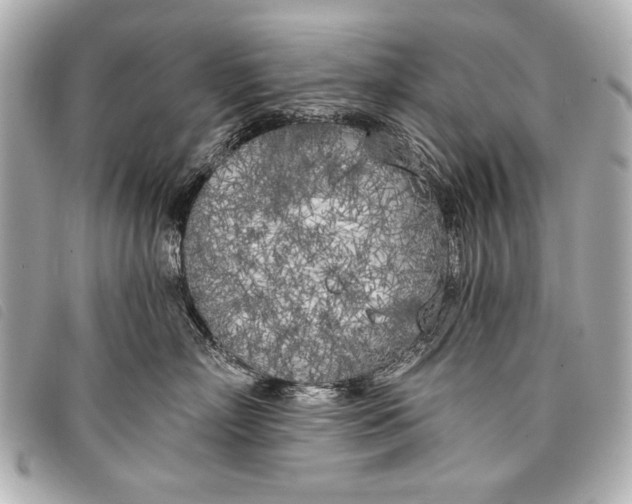 X0000098110718200804181451