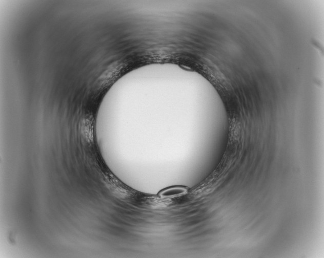 X0000098110719200804181451