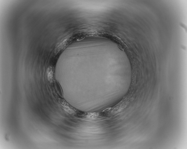 X0000098110720200804181451