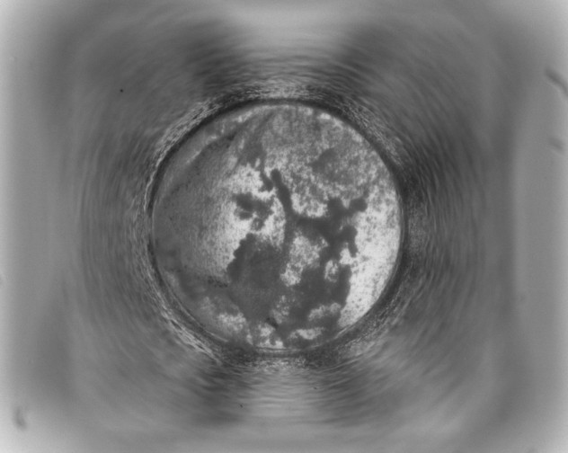 X0000098110721200804181450