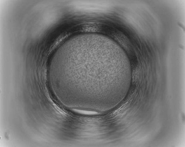 X0000098110722200804181450