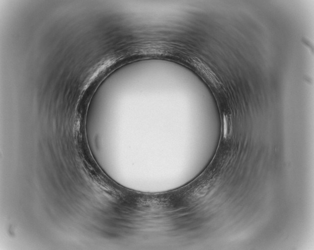 X0000098110723200804181450