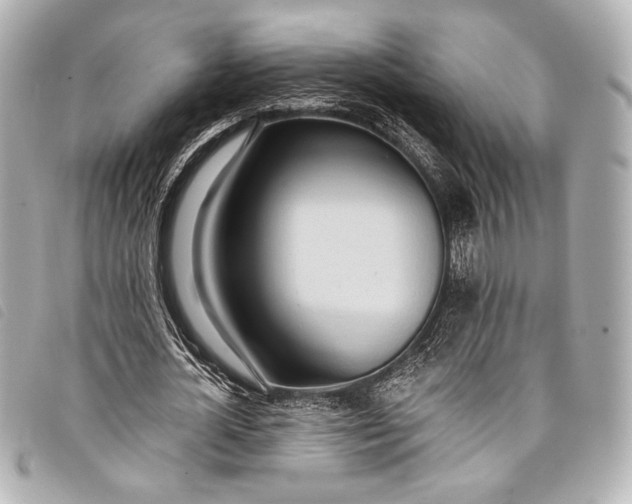 X0000098110724200804181450