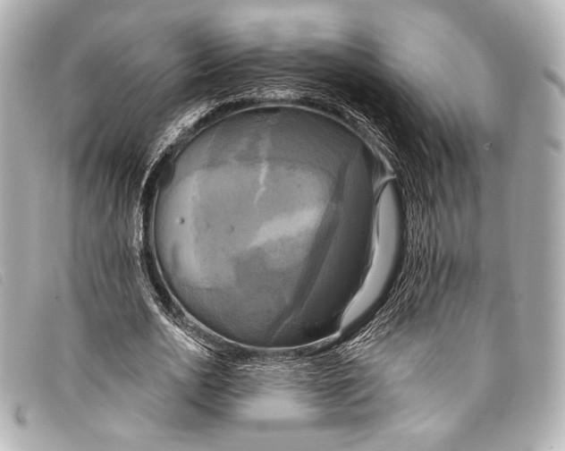 X0000098110726200804181451
