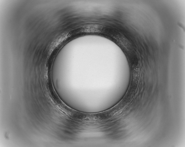 X0000098110727200804181451