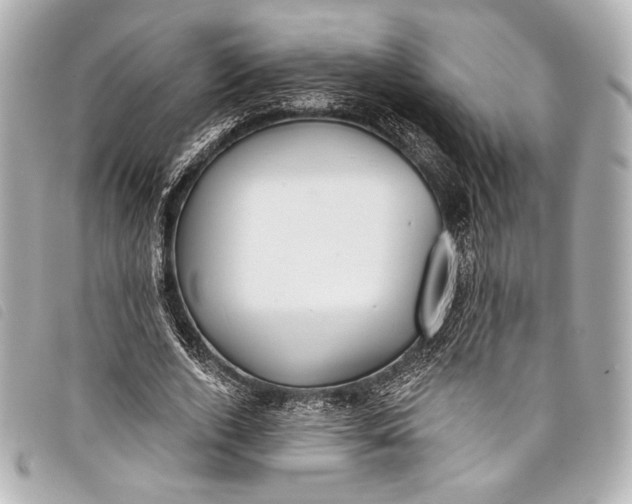 X0000098110728200804181451