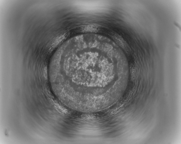 X0000098110729200804181451