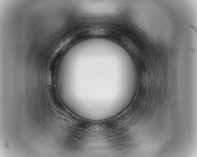X0000098110731200804181451