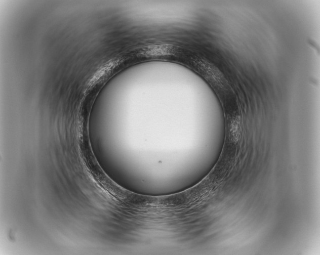 X0000098110732200804181451