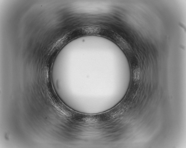 X0000098110733200804181451