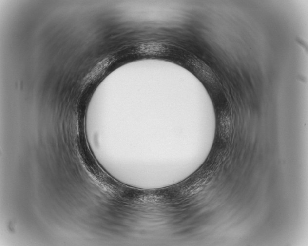 X0000098110734200804181451