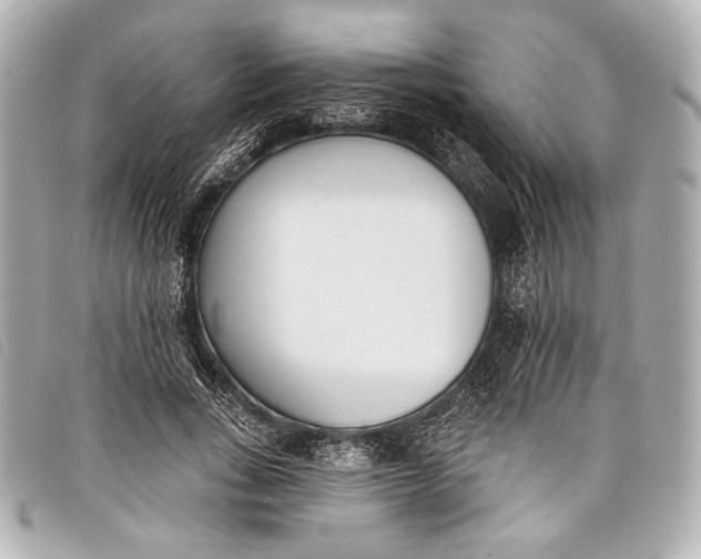 X0000098110735200804181451