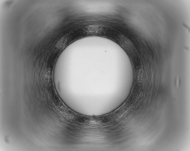 X0000098110737200804181451
