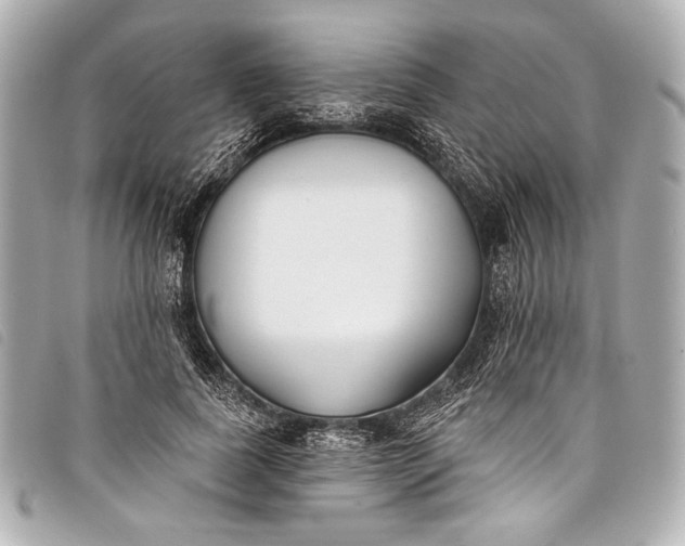 X0000098110739200804181451