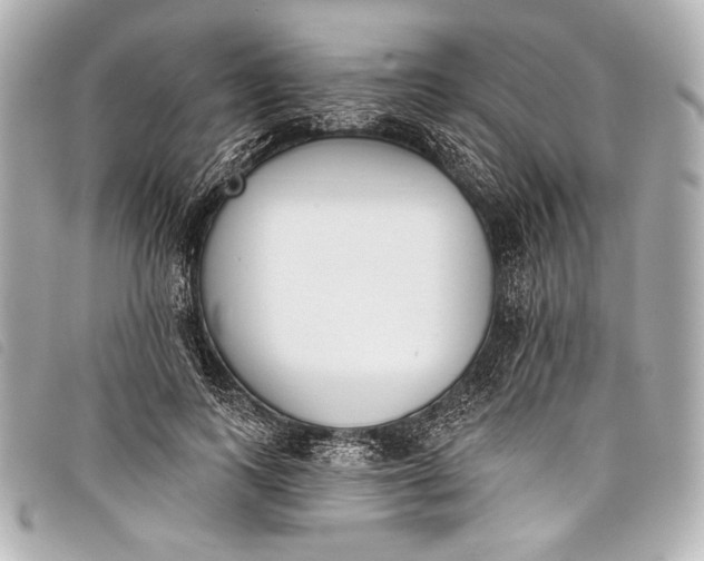 X0000098110743200804181451