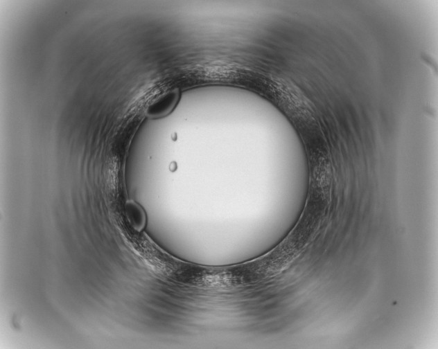 X0000098110744200804181451