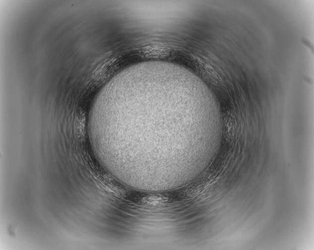 X0000098110745200804181451