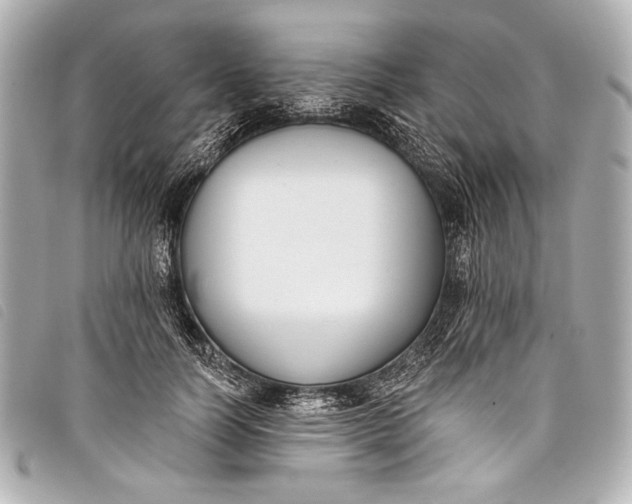X0000098110746200804181451