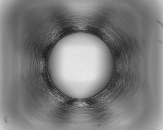 X0000098110747200804181451