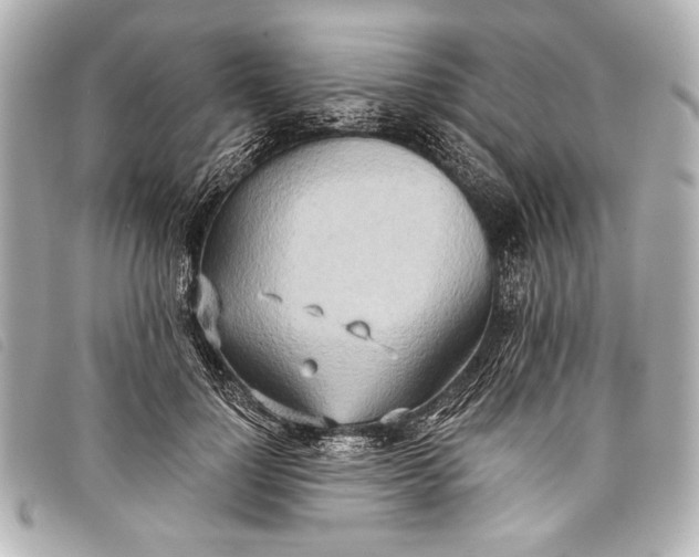 X0000098110748200804181451
