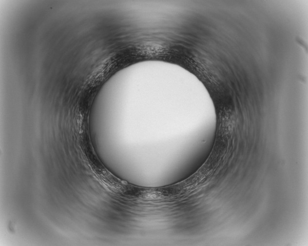 X0000098110750200804181451