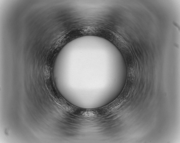 X0000098110751200804181451