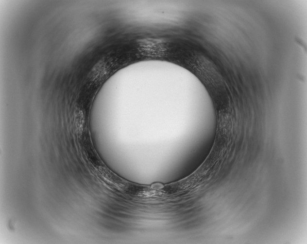X0000098110752200804181451