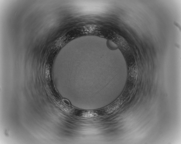 X0000098110754200804181451