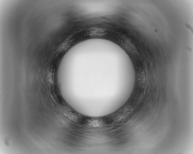 X0000098110755200804181451