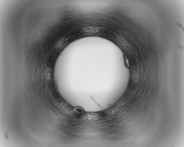 X0000098110758200804181451