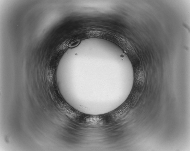 X0000098110759200804181451