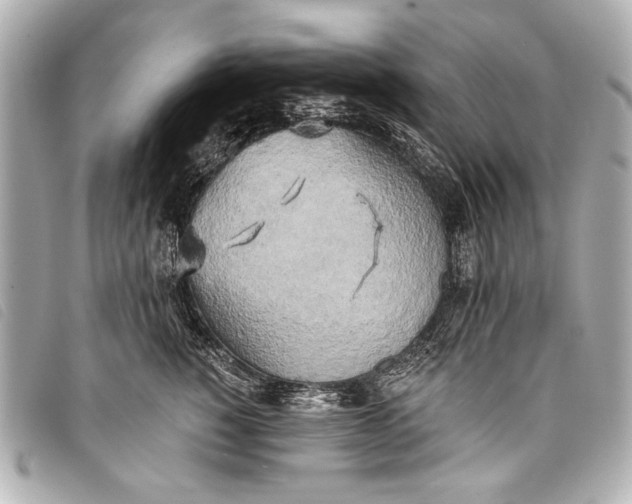 X0000098110760200804181451
