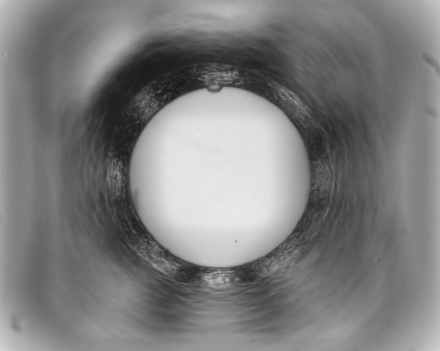 X0000098110761200804181451