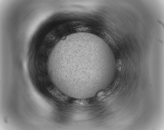 X0000098110763200804181451