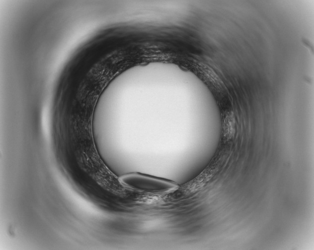 X0000098110764200804181451