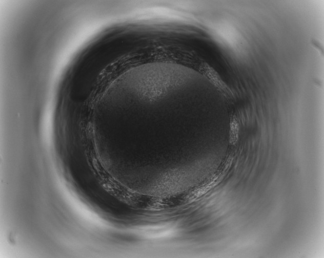 X0000098110765200804181451