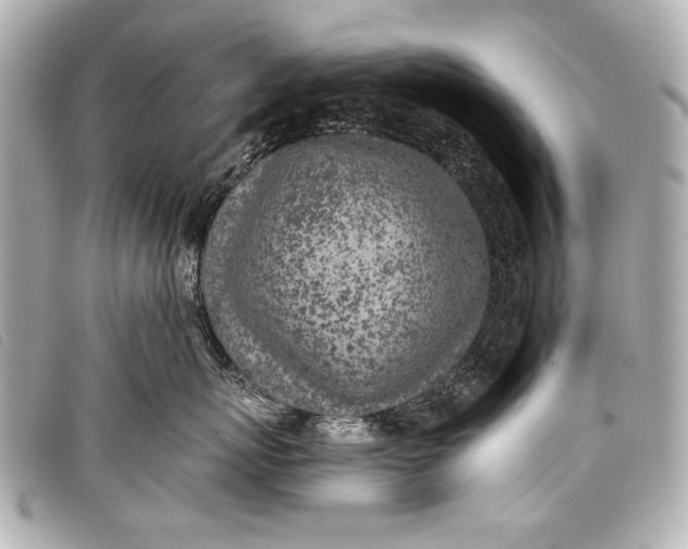 X0000098110767200804181451
