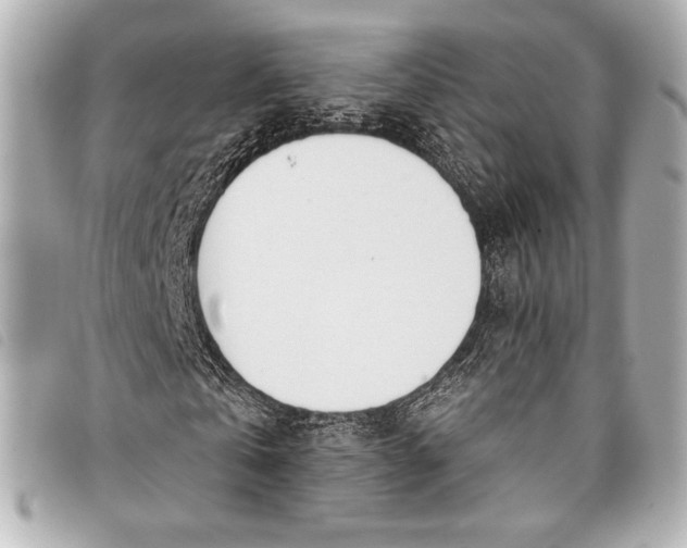 X0000098110769200804181450