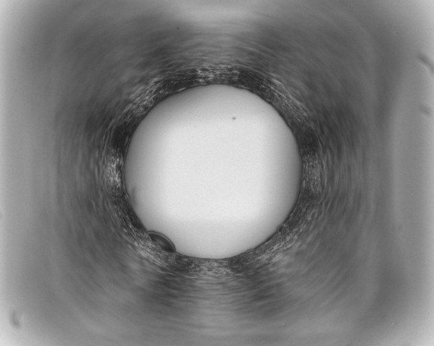 X0000098110770200804181450
