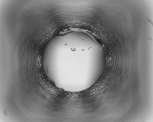 X0000098110772200804181450