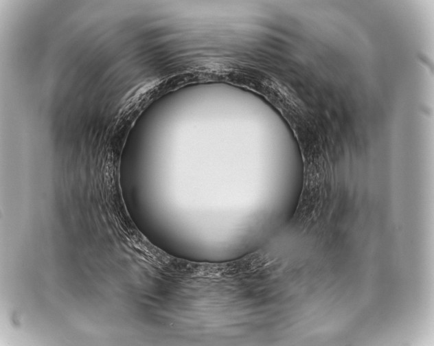 X0000098110773200804181450
