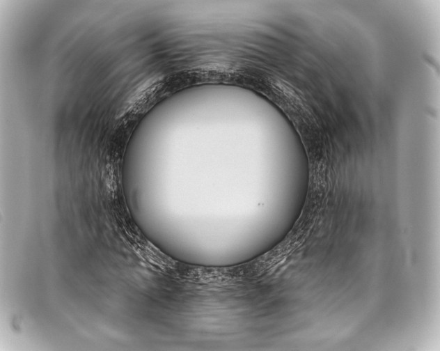 X0000098110774200804181450