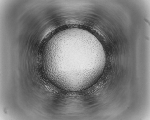 X0000098110775200804181450